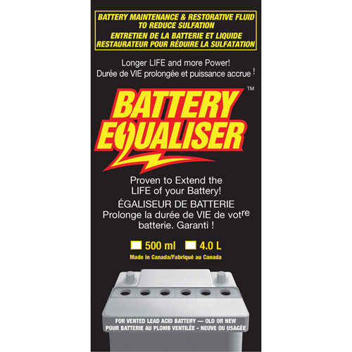 Battery Equalizers Advanced Consulting and Training Ltd.