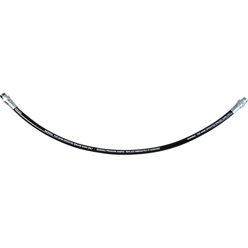 Flexible Grease Hose, 12" L Advanced Consulting and Training Ltd.