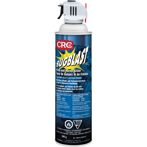 Insecticide Bug Blast, 397 g, &agrave; base de solvant Advanced Consulting and Training Ltd.