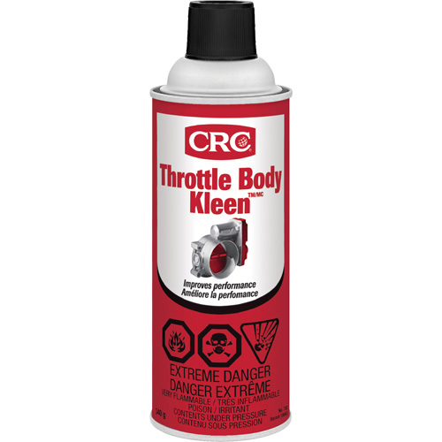 Nettoyant de conduits d'admission d'air Throttle Body Kleen, Canette a&eacute;rosol Advanced Consulting and Training Ltd.