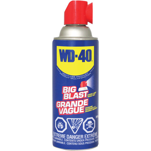 P&eacute;n&eacute;trant Grande Vague, Canette a&eacute;rosol, 311 g Advanced Consulting and Training Ltd.
