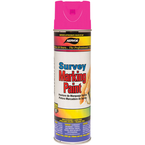 Peinture de marquage &agrave; base de solvant, 17 oz, Canette a&eacute;rosol Advanced Consulting and Training Ltd.