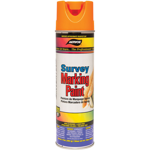 Peinture de marquage &agrave; base de solvant, 17 oz, Canette a&eacute;rosol Advanced Consulting and Training Ltd.