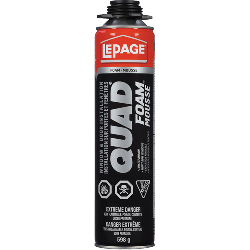 Quad&reg; Foam Window & Door Installation Foam, Aerosol Can, Tan Advanced Consulting and Training Ltd.