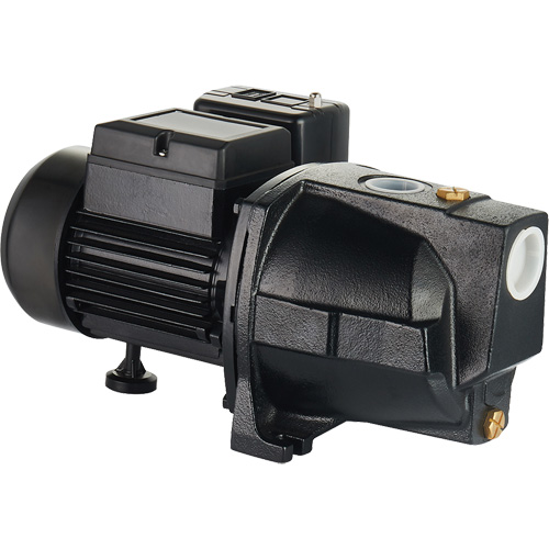 Pompe &agrave; jet en fonte &agrave; double tension pour puit peu profond, 115 V/230 V, 1100 gal./h, 1 CV Advanced Consulting and Training Ltd.