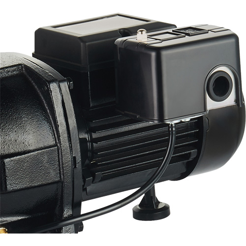 Pompe &agrave; jet en fonte &agrave; double tension pour puit peu profond, 115 V/230 V, 1100 gal./h, 1 CV Advanced Consulting and Training Ltd.