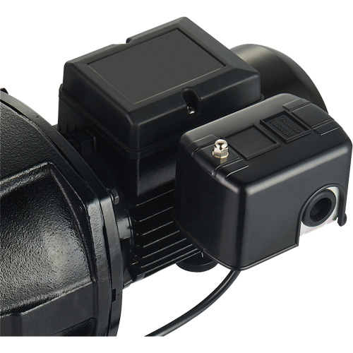 Pompe &agrave; jet en fonte &agrave; double tension pour puit peu profond, 115 V/230 V, 1100 gal./h, 1 CV Advanced Consulting and Training Ltd.