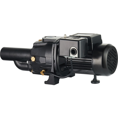 Dual Voltage Cast Iron Convertible Jet Pump, 115 V/230 V, 1400 GPH, 3/4 HP Advanced Consulting and Training Ltd.