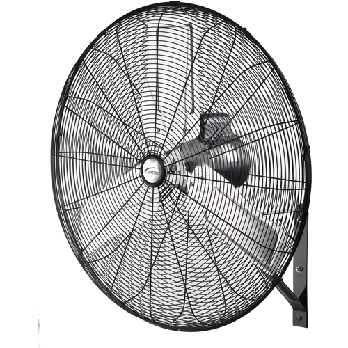 Ventilateur mural non oscillant, Industriel, 2 vitesses, Diam&egrave;tre de 30" Advanced Consulting and Training Ltd.