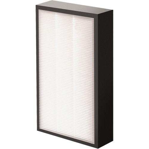 AeraMax&reg; Pro AM2 1-3/4" True HEPA Filter, Box, 7.38" W x 1.88" D x 12.88" H Advanced Consulting and Training Ltd.