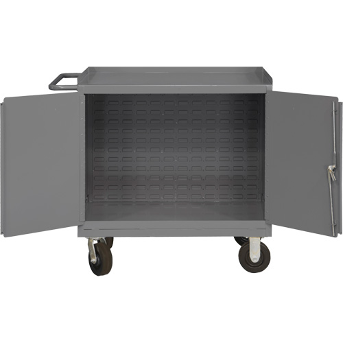 Mobile Workbench Cabinet with Louvered Panel Back, Steel Surface Advanced Consulting and Training Ltd.