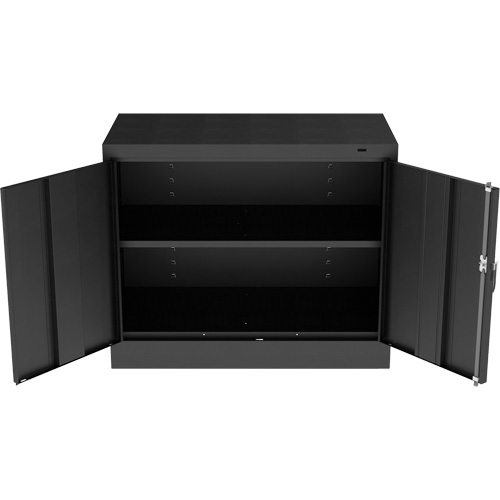 Standard Desk-High Cabinet, Steel, 30" H x 36" W x 18" D, Black Advanced Consulting and Training Ltd.
