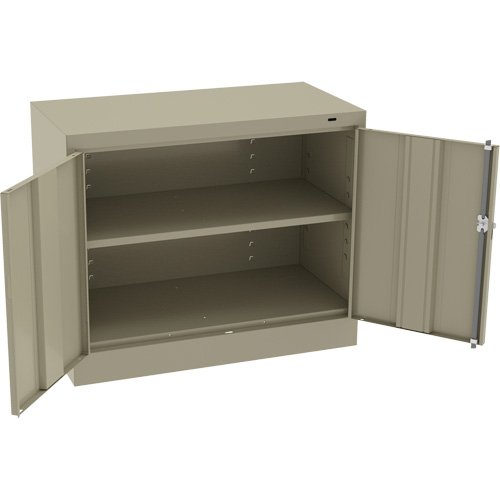 Standard Desk-High Cabinet, Steel, 30" H x 36" W x 18" D, Beige Advanced Consulting and Training Ltd.