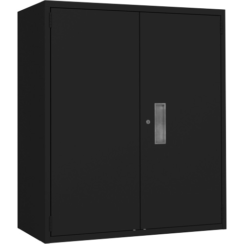 Lo-Boy Storage Cabinet, Steel, 2 Shelves, 42" H x 36" W x 18" D, Black Advanced Consulting and Training Ltd.