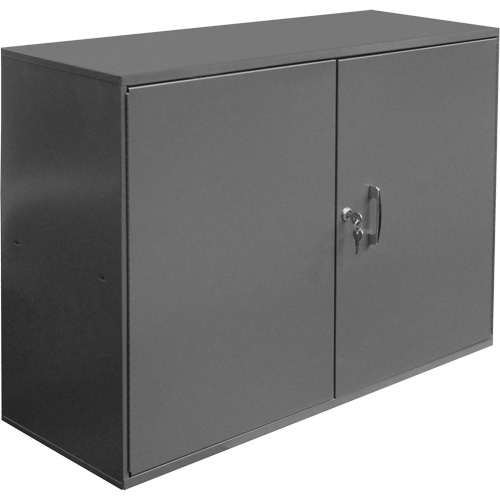 Abrasive Accessory Cabinet, Steel, 2 Drawers, 33-3/4" x 11-7/8" x 23-7/8", Grey Advanced Consulting and Training Ltd.