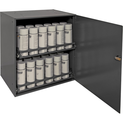 Armoire de rangement pour contenants a&eacute;rosol, Acier, 21-7/8" h x 15-15/16" la x 20-5/16" P, Gris Advanced Consulting and Training Ltd.