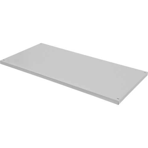 Replacement Shelf for Knocked Down Cabinet, 30" x 15", 100 lbs. Capacity, Steel, Grey Advanced Consulting and Training Ltd.