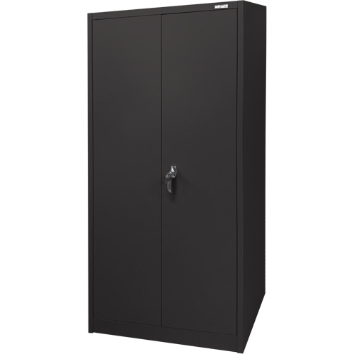 Armoire d'entreposage, Acier, 4 Tablettes, 66" h x 30" la x 15" P, Noir Advanced Consulting and Training Ltd.