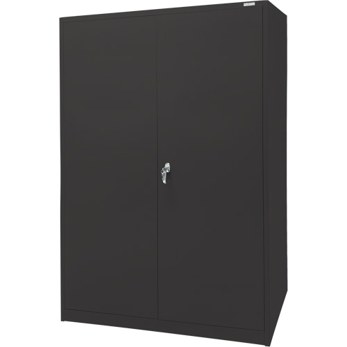 Storage Cabinet, Steel, 4 Shelves, 78" H x 48" W x 24" D, Black Advanced Consulting and Training Ltd.