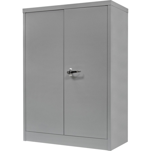 Counter-High Storage Cabinet, Steel, 2 Shelves, 42" H x 48" W x 24" D, Grey Advanced Consulting and Training Ltd.