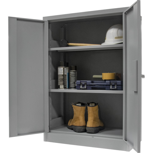 Counter-High Storage Cabinet, Steel, 2 Shelves, 42" H x 48" W x 24" D, Grey Advanced Consulting and Training Ltd.