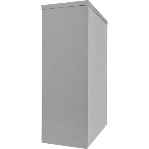 Counter-High Storage Cabinet, Steel, 2 Shelves, 42" H x 48" W x 24" D, Grey Advanced Consulting and Training Ltd.