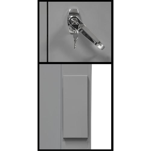 Counter-High Storage Cabinet, Steel, 2 Shelves, 42" H x 48" W x 24" D, Grey Advanced Consulting and Training Ltd.