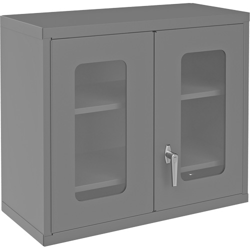 Armoire de rangement murale avec portes transparentes, 26-15/16" h x 29-7/8" la x 13-11/16" p, 2 tablettes, Acier, Gris Advanced Consulting and Training Ltd.