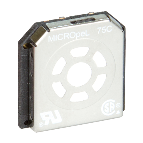 BW Replacement Sensors Advanced Consulting and Training Ltd.