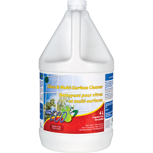 Nettoyant pour vitres & pour toutes surfaces, 4 L, Cruche Advanced Consulting and Training Ltd.
