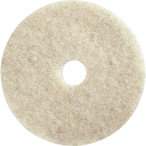 Floor Maintenance Pads, 24", Burnishing, Brown Advanced Consulting and Training Ltd.