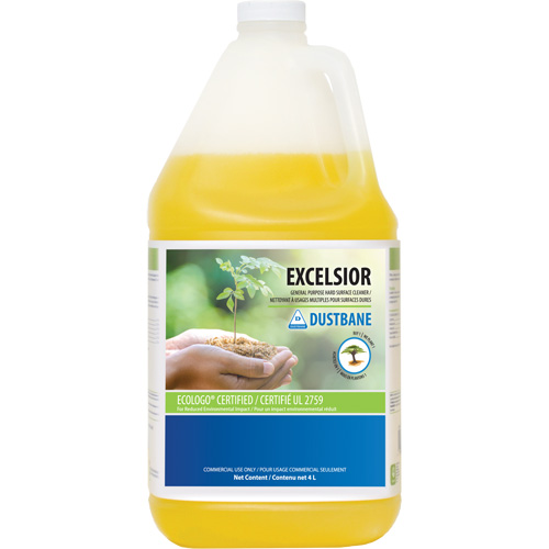 Excelsior General Purpose Cleaner, 4 L, Jug Advanced Consulting and Training Ltd.