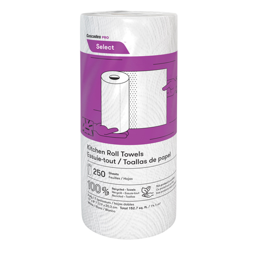 Pro Select Kitchen Towel Roll, 2 Ply, 250 Sheets/Roll, 8" W, 11" L Advanced Consulting and Training Ltd.