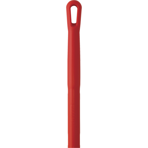 Manche, Balai/Grattoir/Raclette, Rouge, Ergonomique, 59" lo Advanced Consulting and Training Ltd.