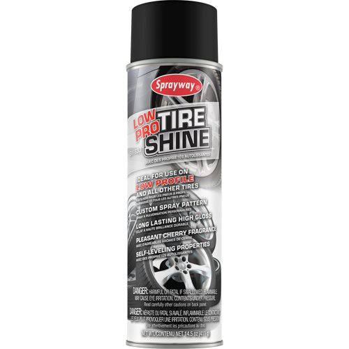 Low Pro Tire Shine Advanced Consulting and Training Ltd.