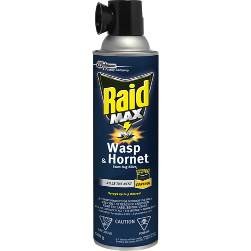 Raid&reg; Max&reg; Wasp & Hornet Foam Bug Killer, 500 g, Aerosol Can, Solvent Base Advanced Consulting and Training Ltd.