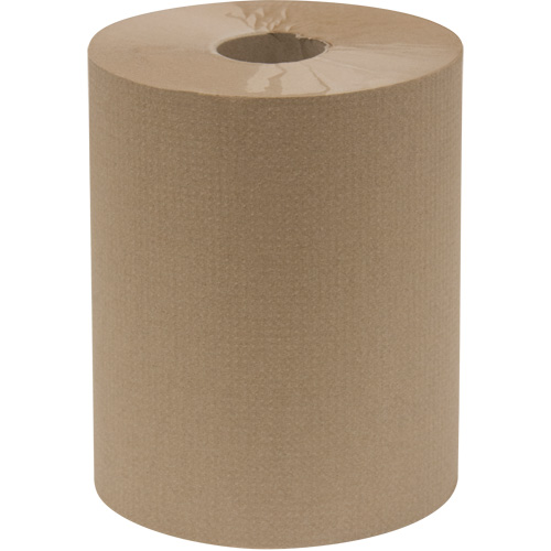Everest Pro Paper Towel Rolls, 1 Ply, Standard, 600' L Advanced Consulting and Training Ltd.