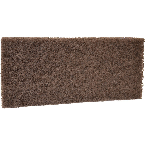 Coarse Scrub Pad, 10" L x 4-1/2" W Advanced Consulting and Training Ltd.