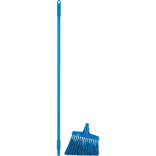 T&ecirc;te &agrave; balai en angle avec manche en m&eacute;tal, Crins Extra-ferme, 12", Polyester, Bleu Advanced Consulting and Training Ltd.