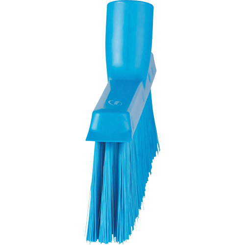 Balai biseaut&eacute; avec pas de vis inclin&eacute;, Crins Moyen, 10", Polyester, Bleu Advanced Consulting and Training Ltd.