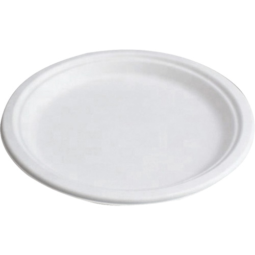 Compostable Plates Advanced Consulting and Training Ltd.