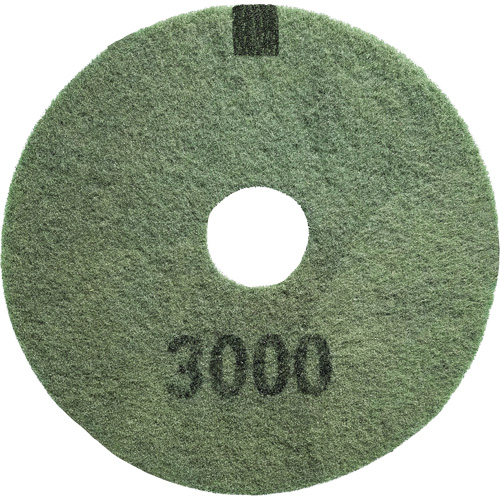 3000 Grit Floor Pad, 20", Scrubbing/Stripping, Black Advanced Consulting and Training Ltd.