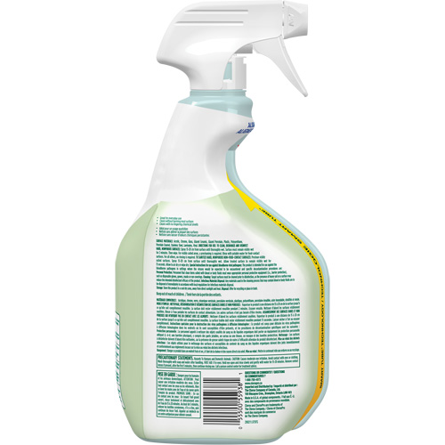 CloroxPro Clorox EcoClean Disinfecting Cleaner, 946 ml, Trigger Bottle Advanced Consulting and Training Ltd.