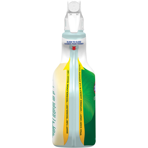 CloroxPro Clorox EcoClean All-Purpose Cleaner, 946 ml, Trigger Bottle Advanced Consulting and Training Ltd.