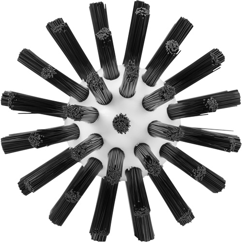 Cleaning Brush, Stiff Bristles, 5-7/10" Long, Black Advanced Consulting and Training Ltd.