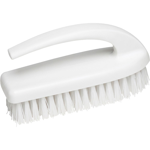 Iron-Style Brush, 6" L, Polypropylene Bristles, Blue Advanced Consulting and Training Ltd.