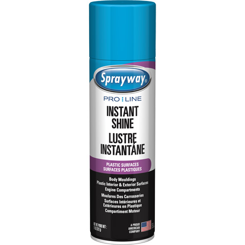 Pro Line Instant Shine for Plastic Surfaces, 11 oz., Aerosol Can Advanced Consulting and Training Ltd.
