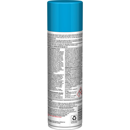 Pro Line Instant Shine for Plastic Surfaces, 11 oz., Aerosol Can Advanced Consulting and Training Ltd.