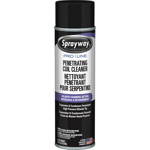 Nettoyant p&eacute;n&eacute;trant pour bobines Pro Line &agrave; action moussante diff&eacute;r&eacute;e, 19 oz., Canette a&eacute;rosol Advanced Consulting and Training Ltd.
