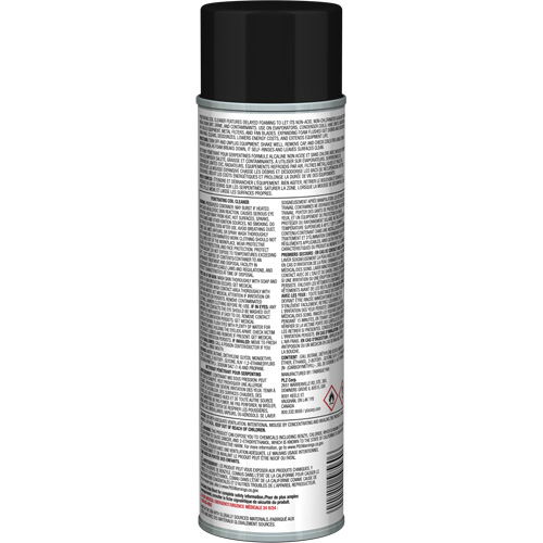 Nettoyant p&eacute;n&eacute;trant pour bobines Pro Line &agrave; action moussante diff&eacute;r&eacute;e, 19 oz., Canette a&eacute;rosol Advanced Consulting and Training Ltd.